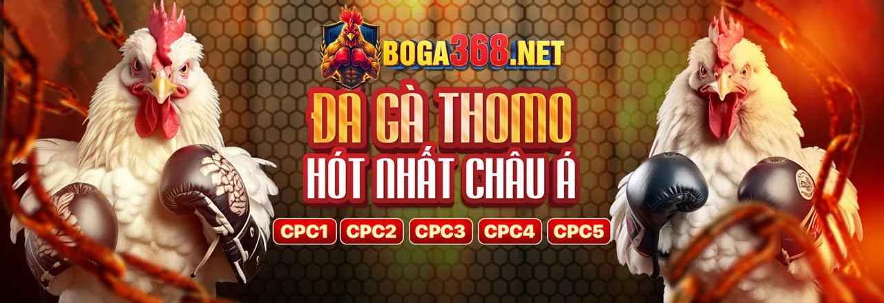 An toàn và uy tín tại dola789